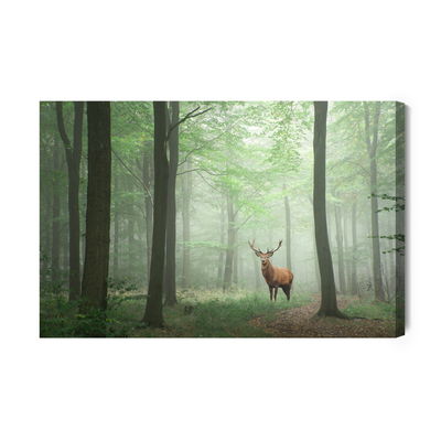Ljuddämpande tavla - Deer in the misty forest