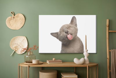 Ljuddämpande tavla - Lovely kitten