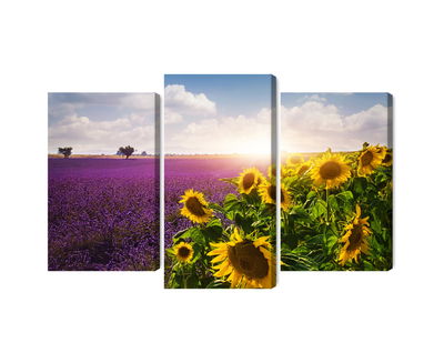 Ljuddämpande tavla - Lavender and sunflower