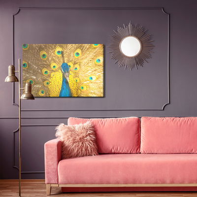 Ljuddämpande tavla - Beautiful colorful peacock