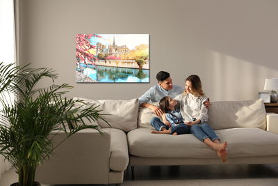 Ljuddämpande tavla - Notre dame cathedral painted