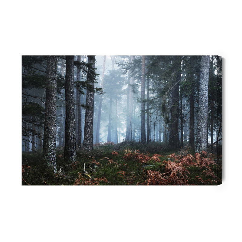 Ljuddämpande tavla - Forest in the fog