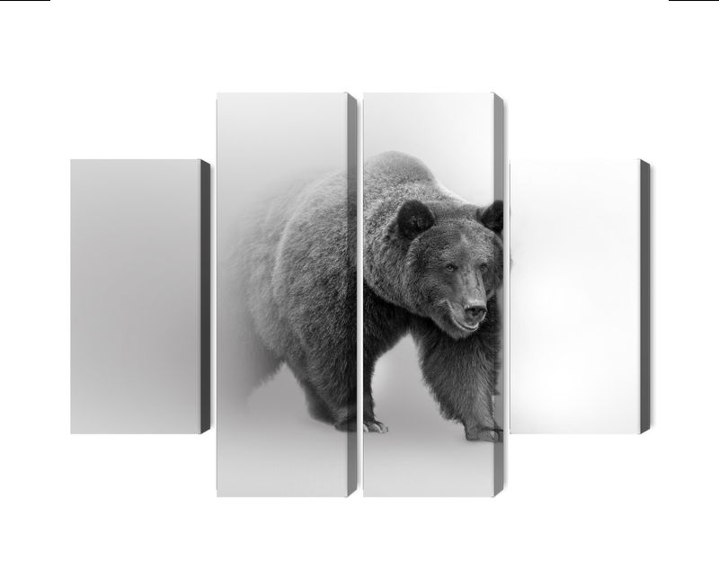 Ljuddämpande tavla - Bear in the fog 3d