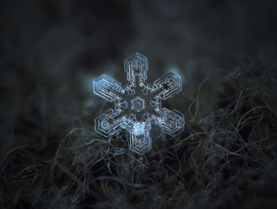 Ljuddämpande tavla - Snow flake in 3d macro scale