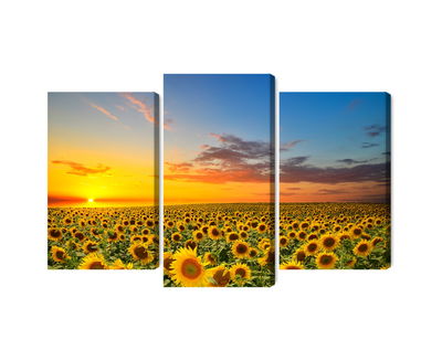 Ljuddämpande tavla - Sunset over a 3d sunflower