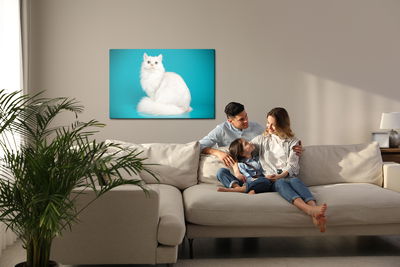 Ljuddämpande tavla - White cat on a blue