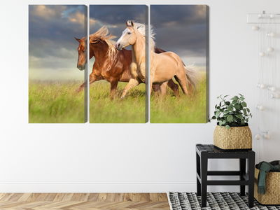 Ljuddämpande tavla - Horses galloping in a 3d