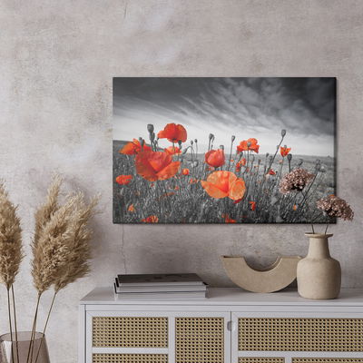 Ljuddämpande tavla - Wild poppies on a black