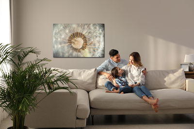 Ljuddämpande tavla - Dandelion close up