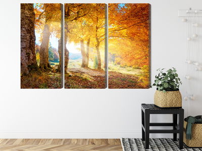 Ljuddämpande tavla - Sunny autumn forest