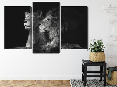 Ljuddämpande tavla - Lion and lioness on a black