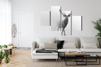 Ljuddämpande tavla - A stately deer in the fog