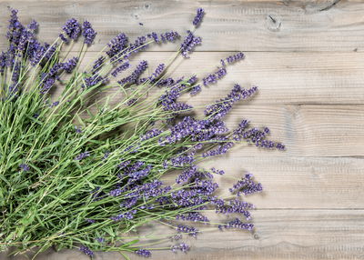 Ljuddämpande tavla - Lavender on a rustic wood