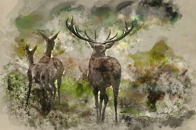Ljuddämpande tavla - Watercolor deer in the forest