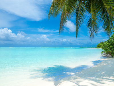 Ljuddämpande tavla - A beach in the maldives