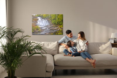 Ljuddämpande tavla - A waterfall in the forest as