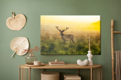 Ljuddämpande tavla - A deer and a foggy morning
