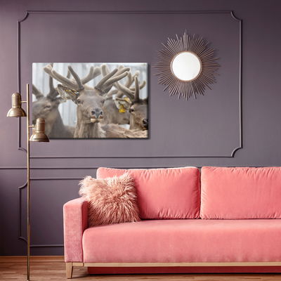 Ljuddämpande tavla - A herd of reindeer