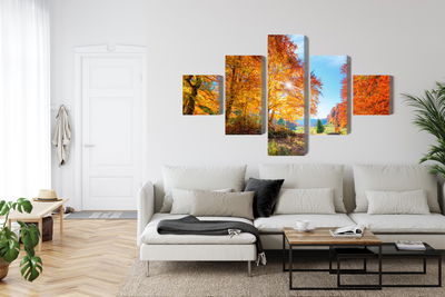 Ljuddämpande tavla - Colorful autumn trees