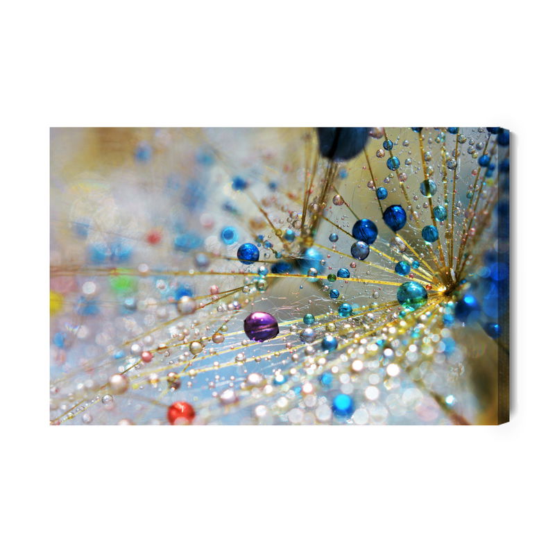 Ljuddämpande tavla - Dandelion, colorful drops