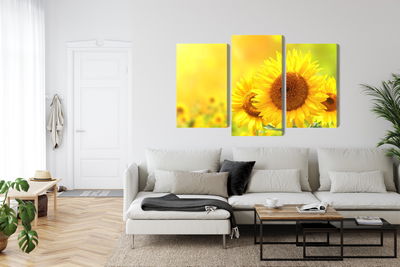 Ljuddämpande tavla - Blooming sunflowers 3d
