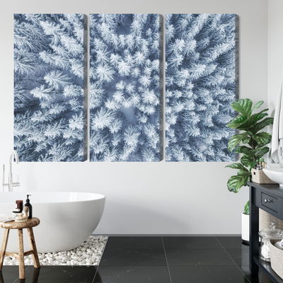 Ljuddämpande tavla - Aerial view of the winter