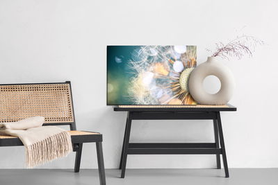 Ljuddämpande tavla - Close-up of a puffer fish