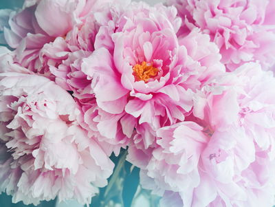 Ljuddämpande tavla - 3d peony bouquet
