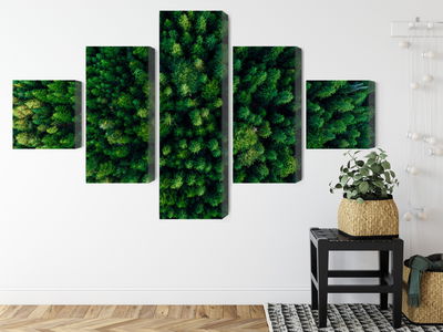 Ljuddämpande tavla - Aerial view of the green