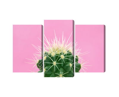 Ljuddämpande tavla - Cactus on a pink background