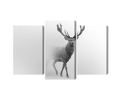 Ljuddämpande tavla - A stately deer in the fog