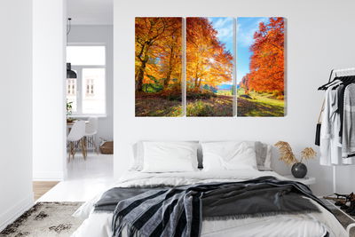 Ljuddämpande tavla - Colorful autumn trees