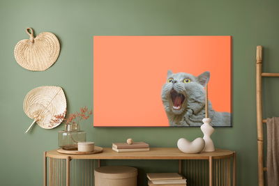 Ljuddämpande tavla - British cat on an orange