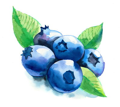 Ljuddämpande tavla - Blueberries painted