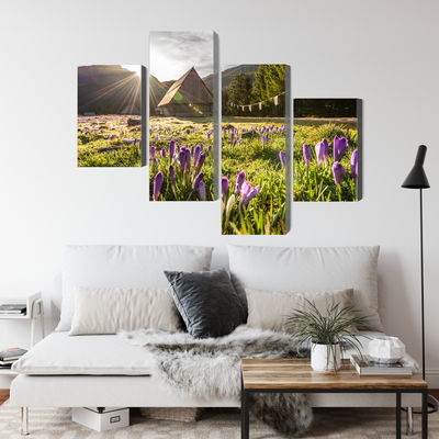 Ljuddämpande tavla - Chocholowska valley