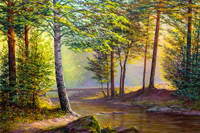 Ljuddämpande tavla - River in the summer forest