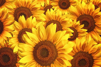 Ljuddämpande tavla - 3d sunflower flowers
