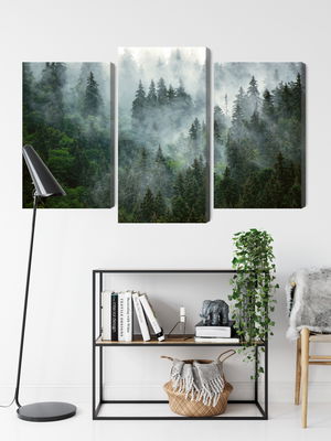 Ljuddämpande tavla - Green forest in the fog