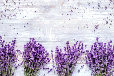 Ljuddämpande tavla - Lavender flowers on a rustic