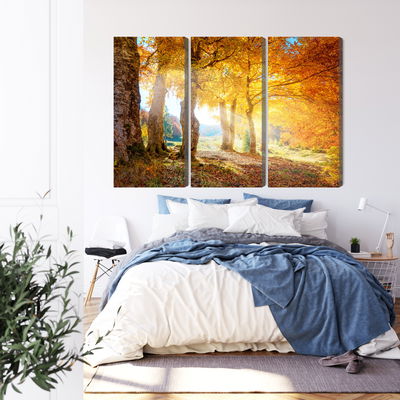 Ljuddämpande tavla - Sunny autumn forest