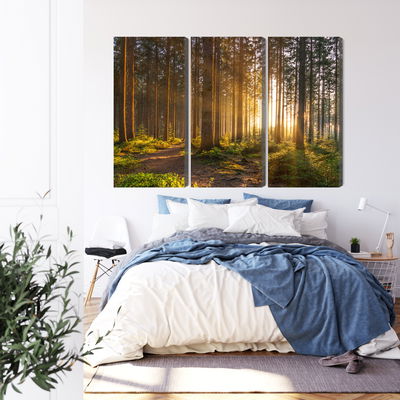 Ljuddämpande tavla - Sunset in the forest