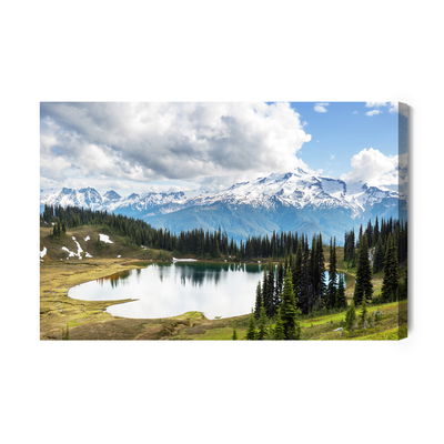 Ljuddämpande tavla - Glacier peak stratovolcano