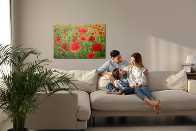 Ljuddämpande tavla - Red poppies in the meadow