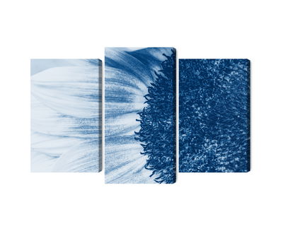 Ljuddämpande tavla - Blue sunflower on a macro