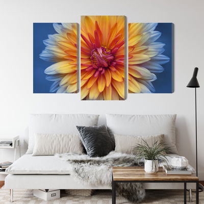 Ljuddämpande tavla - Chrysanthemum flower close