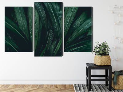 Ljuddämpande tavla - Dark green leaves on a macro