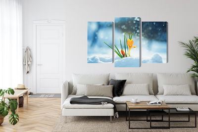 Ljuddämpande tavla - Yellow crocuses breaking