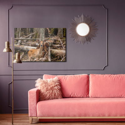 Ljuddämpande tavla - A young deer among the trees