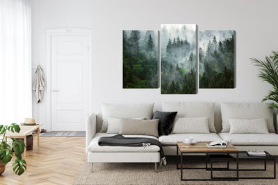 Ljuddämpande tavla - Green forest in the fog