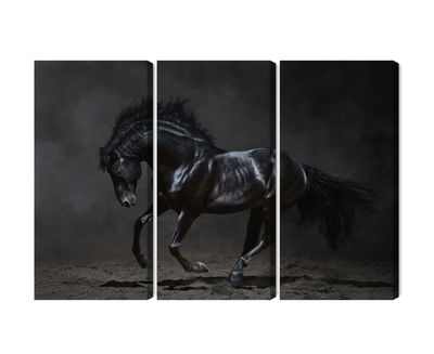 Ljuddämpande tavla - Black horse at a gallop